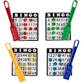 Pikkukuva 3 / 4: Magneettiset Bingo-taikakepit, 4-pakkaus -  Suuri paketti seniori- ja perhepeli-iltoihin -  Opetustieteelliset STEM-sarjat (FMY)