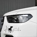 Pikkukuva 4 / 5: Bull Terrier -koiran elektrokardiogrammi -autotarra ikkunaan (FMY) White