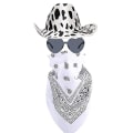Miniatyrbilde 1 av 4: Cowboy-hatter, vestlige cowgirl-hatt, bandana, briller, unisex cowboy-hatt, bursdagskostyme, cosplay-kjole, festtilbehør (FMY) blackwhite hat*glasses*square towel
