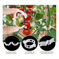 Miniatyrbild 2 av 5: 40 st Tomatkrokar med Snöre, Tomatstödskrokar, Tomathållarkrokar & Växtstödsklämmor (FMY) Silver  white