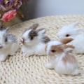 Pikkukuva 3 / 5: Miniatyyrirealistiset Karvaiset Kanit Figuriinit Simulaatiotila Eläin Mini Malli Eläväinen Pääsiäiskunikset Täytetty Eläin Rekvisiitta (FMY)