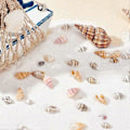 Miniatyrbild 2 av 5: 260 st Havssnäckor 4 Stilar Ocean Spiral Snäckskal Små Strand Snäckskal Marinliv Havssnäckor för Strandtema Fest Strand Fe Trädgård Burk (FMY)