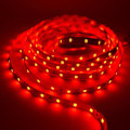 Pikkukuva 1 / 5: 5M LED-nauhavalo, ei vedenkestävä, DC 12V, valkoinen, lämmin valkoinen, sininen, punainen, vihreä, nauhateippi, kirkkaampi 2835 nauha, kodin koristevalo (FMY) Red Not waterproof