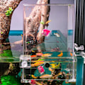 Miniatyrbillede 3 af 4: Over Vand Fisketank, Fiskeelevator Inverteret Akvarium, Transparent Fisk As shown