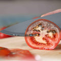 Miniatyrbillede 2 af 5: Masterchef Nordic Knivsæt med 5 knive - Kendt fra MasterChef Da