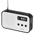 Miniatyrbillede 2 af 3: Adler FM-radio med PPL og LCD-display