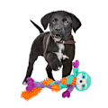 Miniatyrbild 2 av 2: Tug/Fetch-hundleksak