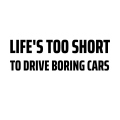 Pikkukuva 2 / 4: Puskuritarra - Life's too short