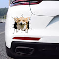 Pikkukuva 2 / 2: Autotarra - Hymyilevä koira