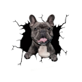 Miniatyrbillede 1 af 3: Bildekal - Glad Fransk Bulldog