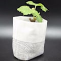 Pikkukuva 3 / 9: Planteringspåsare i 100-Pack