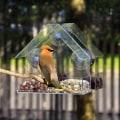 Miniatyrbillede 1 af 6: Fuglefoderautomat i gennemsigtigt husdesign til vinduer - med v