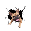 Miniatyrbild 1 av 3: Bildekal - Bulldogsvalp