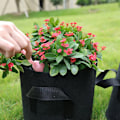 Miniatyrbillede 3 af 4: Voksepose / Plantepose med håndtag - 5-pak