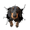 Miniatyrbillede 1 af 2: Klistermærke til bil - Hund med et nuttet look