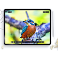 Miniatyrbild 2 av 6: HOFI iPad 11 2025 / 10.9 2022 2-PACK Skärmskydd PAPER LIKE