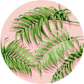 Miniatyrbild 1 av 4: PopSockets Grip med Ställfunktion Palm Shadows