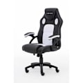 Miniatyrbild 8 av 10: RAPTOR Gamingstol GS-40 Compact Konstläder & Tyg Svart/Vit