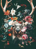 30x40cm 5D DIY Diamantmålning Full, R#Série Animaux, DIY Diamant