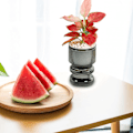 Miniatyrbild 4 av 5: Transparenta Hydroponiska Små Krukor för Växter, Inomhus Vardagsrum Desktop Transparent Hydroponisk Pl