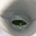 Miniatyrbillede 4 af 5: 10 stk Engangs Isoleringsposer Tyk Aluminiumfolie Mad Hurtig