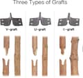 Miniatyrbillede 5 af 6: 2-i-1 Havepodningssaks med 3 blade U-type, V-type, Ω-type, Perfekt til frugttræspodning