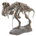 Tyrannosaurus Rex Skjelett Dinosaur Dyr Samleobjekt Dekor Modell Leketøy