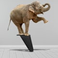 Miniatyrbillede 4 af 5: 2023 - 6 stk. Justerbare møbelben, sorte metalben til bord, skabe, køkken, sofa, skrivebord, 92 mm