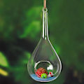 Miniatyrbild 2 av 4: Transparent hängande planter glas terrarium vas blomkruka för hemmakontor trädgårdsdekoration (Teardrop)