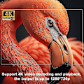 Miniatyrbild 2 av 5: Projektor 4k Android 11 Dubbel Wifi6 200 Bt5.0 1080p 1280*720p