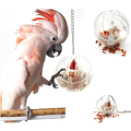 Miniatyrbild 1 av 5: Papegoja Kreativa Foder System Foderboll - Fågel Intelligens Tillväxt Bur Akryl Box Leksaker