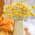 Miniatyrbild 2 av 5: 30 st Naturala Torkade Blommor Torkade Craspedia Billy Balls Blommor Billy Buttons 16’’ Gula Blommor Arrangemang Bukett för Boho Lanthus Bröllop Hem