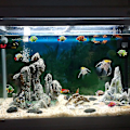 Miniatyrbillede 4 af 4: 30 stk. Levende Akvariefisk Ornament Akvarium Landskab Kunstig Fisk Plastfisk Dekoration (tilfældig stil)