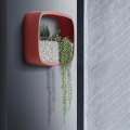 Miniatyrbild 4 av 5: Hängande växtkrukor Väggkruka Modern konst Väggvas Hängande växtkrukor Blomkrukor Suckulent växtkorg för inomhus utomhus sovrum vardagsrumsdekor Ha