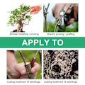 Miniatyrbillede 5 af 5: Sårpleje til træer, der fremmer heling, velegnet til bonsai-formning/beskæring, beskæring/podning af grene og beskæring af frøplanter