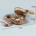 Pikkukuva 3 / 4: Halloween-temppuihin väärennetty käärme Pyon Snake Toy -kumi käärmehahmo