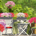 Miniatyrbillede 5 af 5: 24 Bundter Kunstige Blomster Udendørs UV-Resistente Kunstige Blomster Ingen Blegning Faux Plastikplanter Have Veranda Vindue Kassedesign (Dyb Rød)