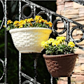 Miniatyrbild 3 av 5: 2 st Vägghängande Planter Vävd Blomkorg Staket Hängande Kruka för Inomhus Utomhus Räcke Staket Balkong Trädgård Heminredning Storlek L