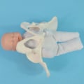 Miniatyrbilde 5 av 5: Menneskelig kvinnelig bekkenmodell fødselsmodell anatomisk modell, mini kvinnelig bekkenmodell