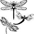 Miniatyrbillede 1 af 5: 3 stk. Metal Libelle Vægindretning Udendørs Libelle Havekunst Metal Indendørs Udendørs Hegn Udendørs Hængende Dekorationer til Hjem, Stue, Soveværelse