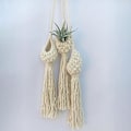 Miniatyrbillede 4 af 5: Blomsterkurv Ananas Form Landskabsstilfuld Hjemhave Planteophæng til Kontor B