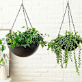Miniatyrbild 5 av 5: 2 st järnhängande planter för inomhus- och utomhusväxter, hängande krukor med kedjehake, modern hängande växtkruka korg för suckulenter kaktus örter