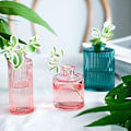 Miniatyrbillede 4 af 5: Glasvase Dekorativ Dekorativ vase Ny Multicololr Glasvaser Blomsterpotte Mini Flasker Dekoration Hjem Nordisk Tørret Transparent Hydroponisk Lille Bo