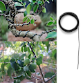 Pikkukuva 3 / 5: 10 Bonsai-lankaa Anodisoitu Alumiini Bonsai-lanka 5 Kokoa - 1,0 Mm, 1,5 Mm, 2,0 Mm, 2,5 Mm, 3,0 Mm B