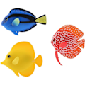 Miniatyrbild 1 av 5: 3PCS Konstgjord fisk Akvarium Silikon Flytande Lysande Clownfish Set, Lysande Effekt Dekor Prydnader för Fisk Tank, Undervattens Saltvatten Falsk Färgglad