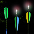 Miniatyrbild 3 av 5: Nocturnal Lighted Nocks - Illuminocks för pilar |, Led-pilar Nock Light Arrows Nock Hunting Arrows Nocks Lighted Led Arrows Nock