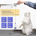 Miniatyrbild 4 av 5: Kattspel leksak hårboll, kattleksak automatisk interaktiv lyftboll, elektrisk