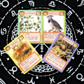 Pikkukuva 4 / 5: Tarot-korttipakka Ecologies Fate Divination Tarot-korttipeli