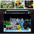 Miniatyrbilde 3 av 4: Spongebob Akvariumdekorasjon Betta Små Fiskedam Ornament, Sett Med 3