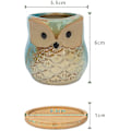 Miniatyrbillede 2 af 4: Sukkulente potter, 6cm søde kaktus potter dyr plante potte små blomster potter